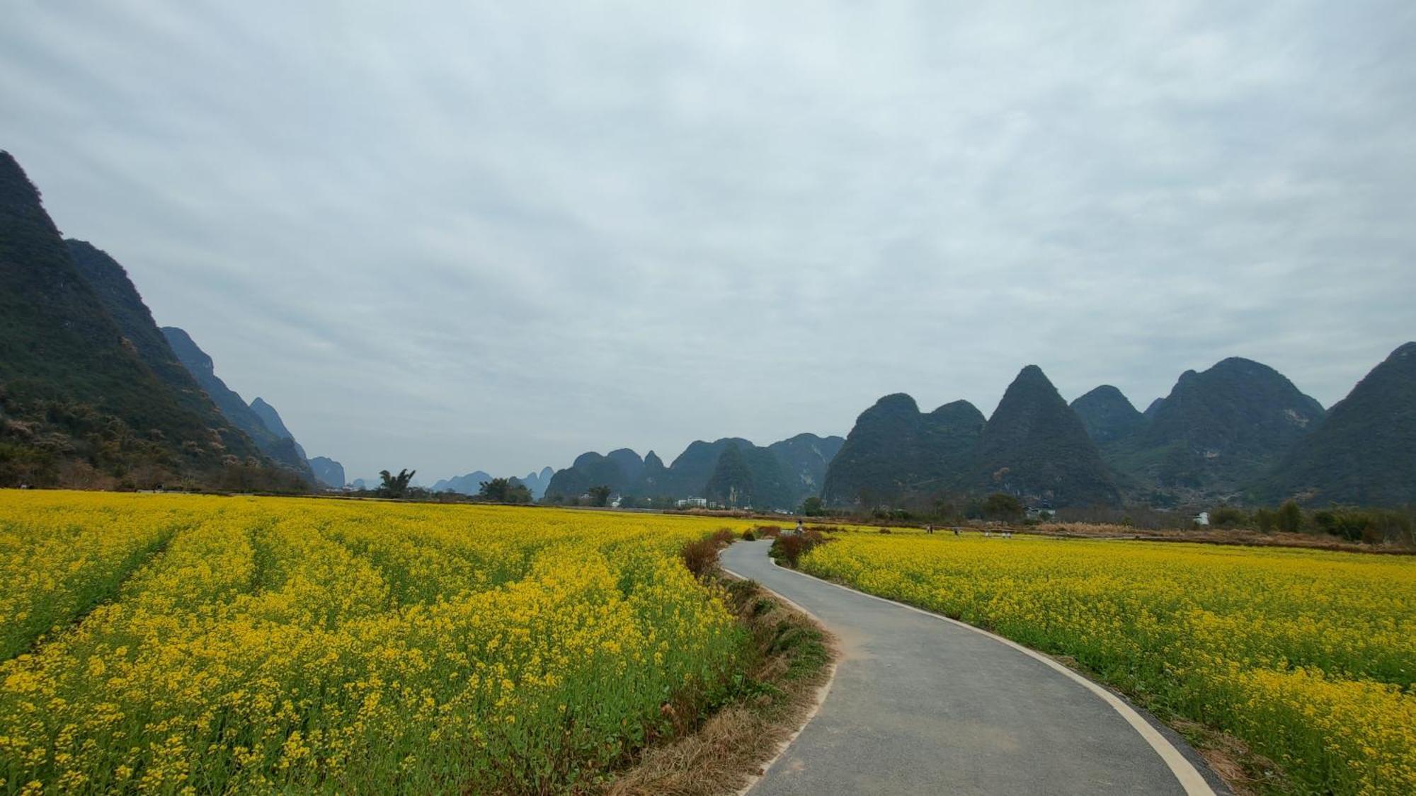 Maison d'hôtes Yangshuo Tea Cozy--One Way Free Pick Up From Airport Or Ts 4 Nights Extérieur photo